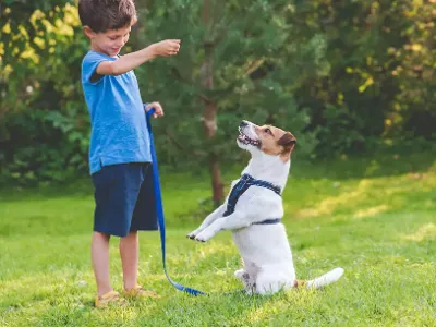 A boy plays with his dog outside in the grass.
