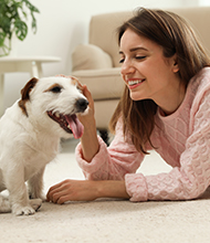 Femme caressant son chien dans le salon