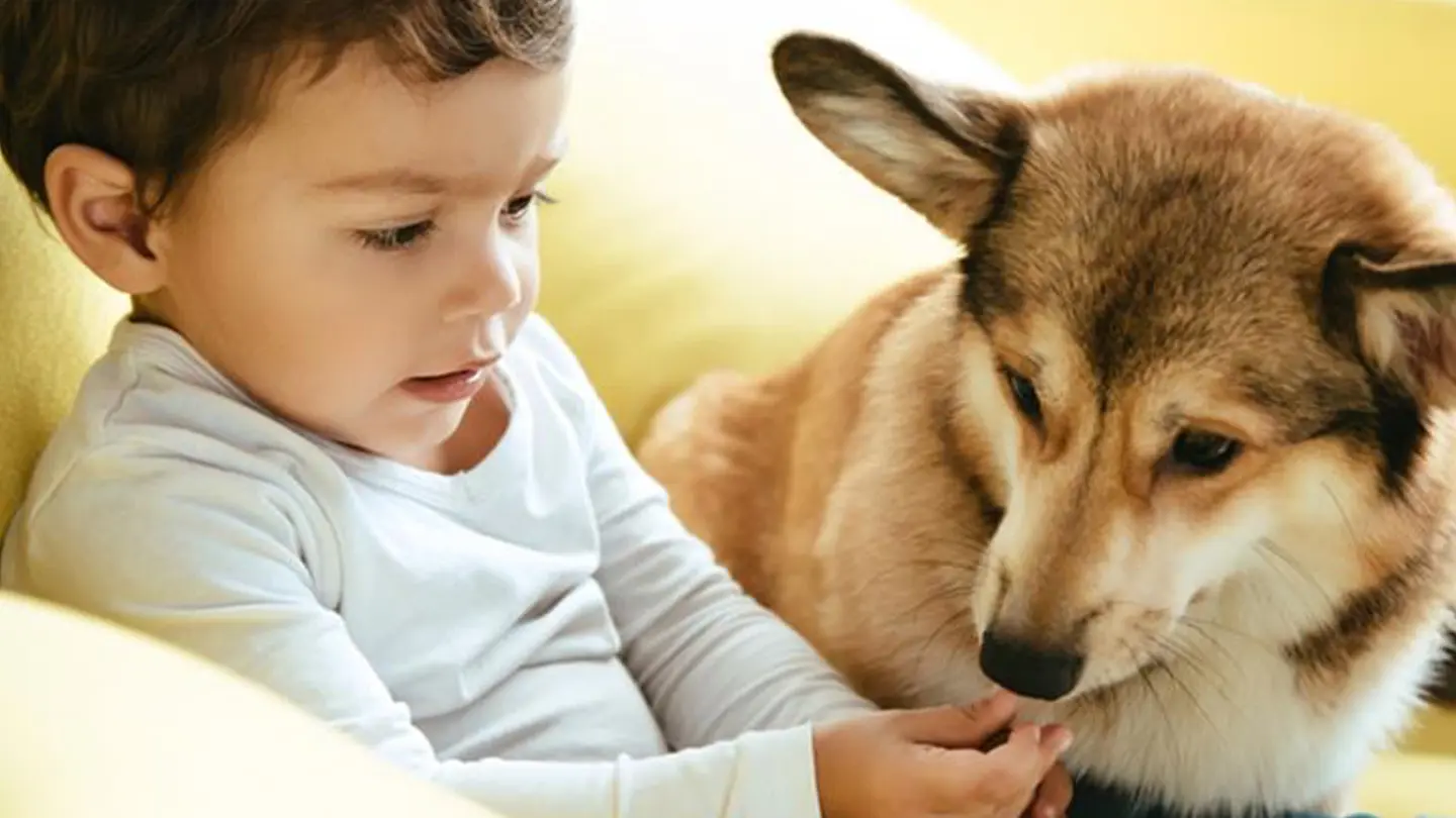 niño-perro
