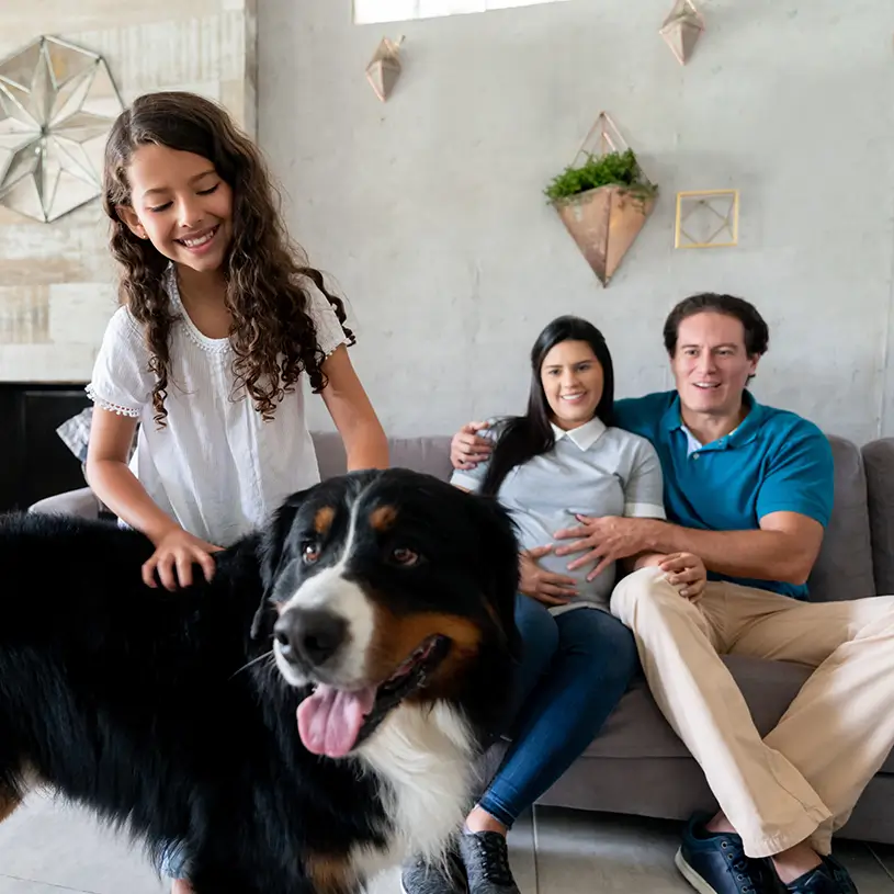 familia-perro