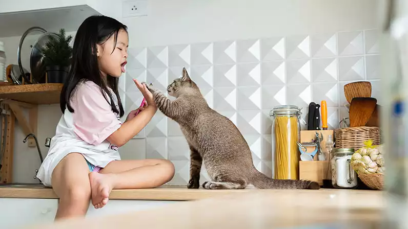 A little girl sitting on a kitchen countertop high-fiving a cat.
